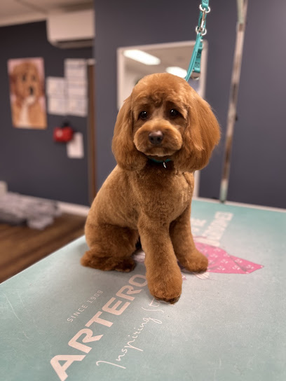 The Dapper Dog Grooming and Spa, Melbourne
