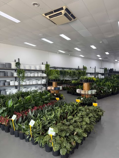 Melbourne Indoor Plants
