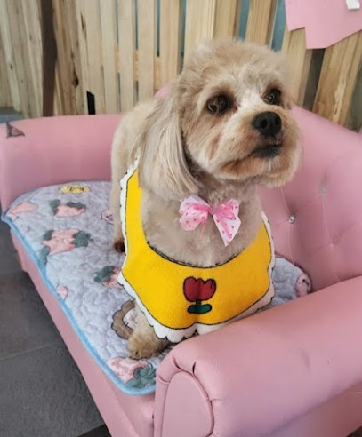Smile Pet Salon -Dog Grooming/ Cat Grooming Ringwood, Melbourne