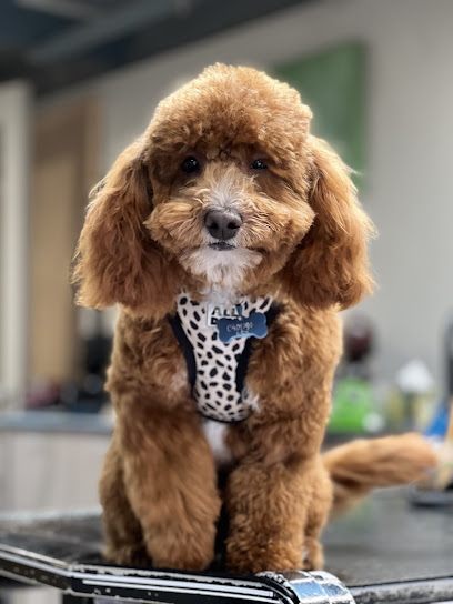 Superb Dog Grooming, Melbourne