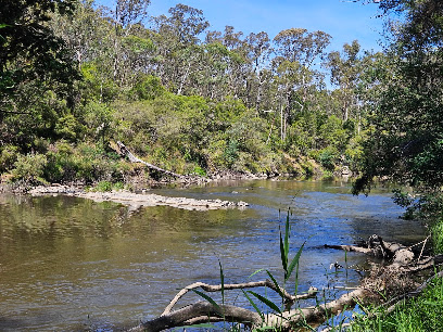 Warrandyte State Park - Jumping Creek Reserve, Melbourne