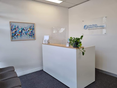 Little Birds Speech Pathology, Melbourne